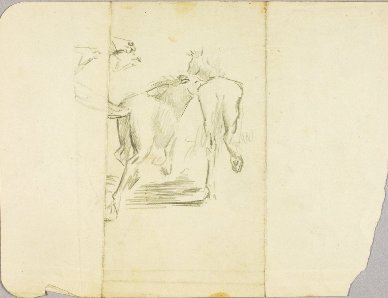 Cavalos de Solon H. Borglum