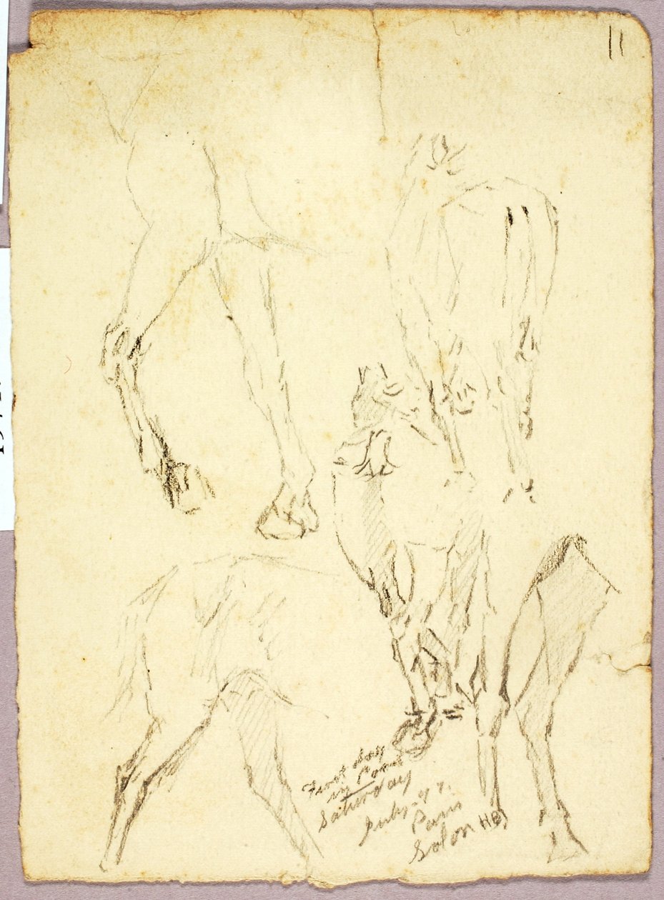 Cavalos de Solon H. Borglum