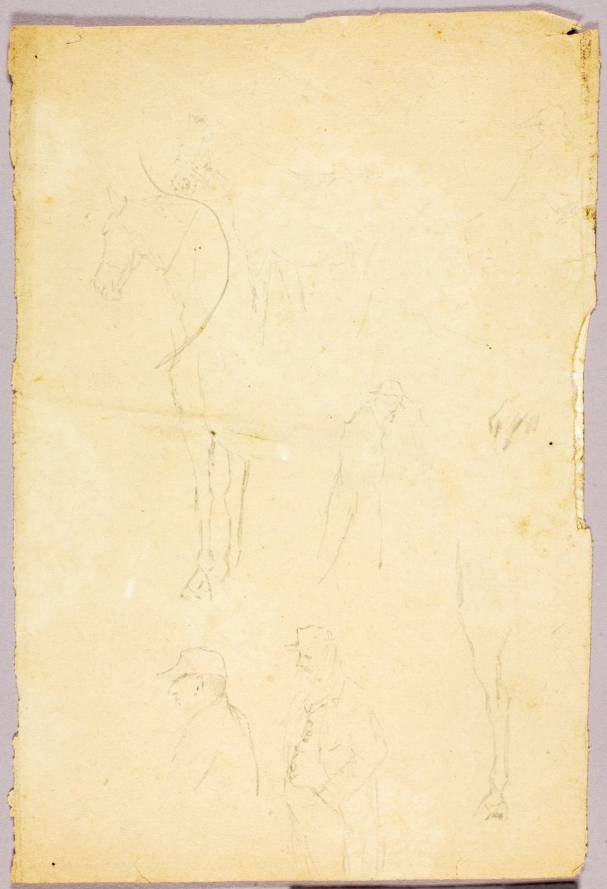 Cavalos de Solon H. Borglum