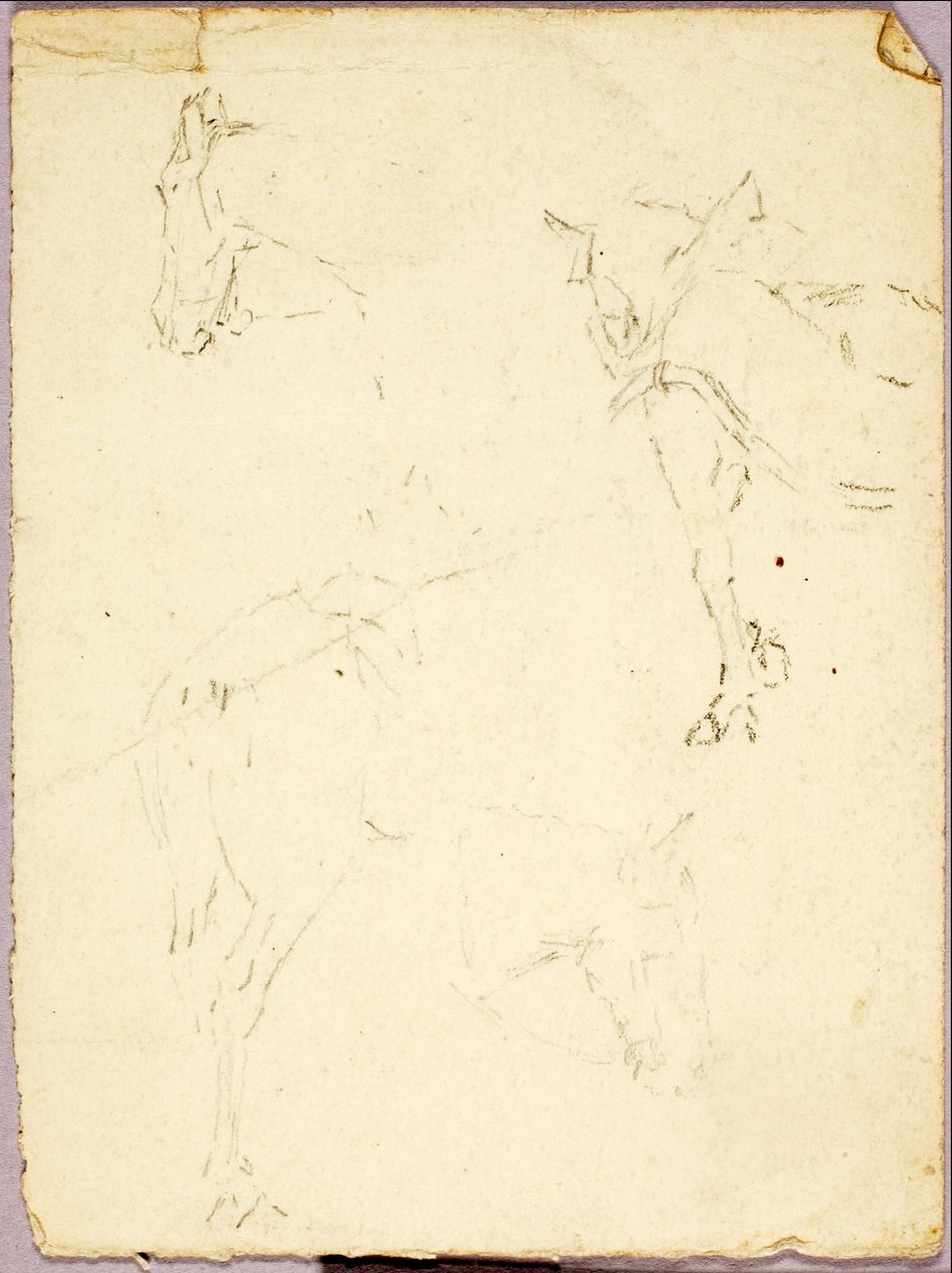 Cavalos de Solon H. Borglum