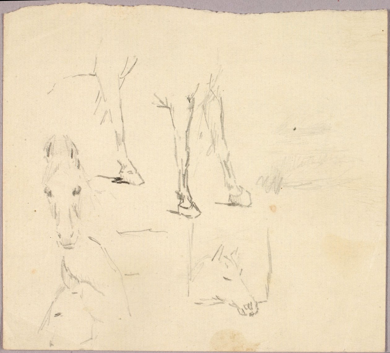 Cavalos de Solon H. Borglum