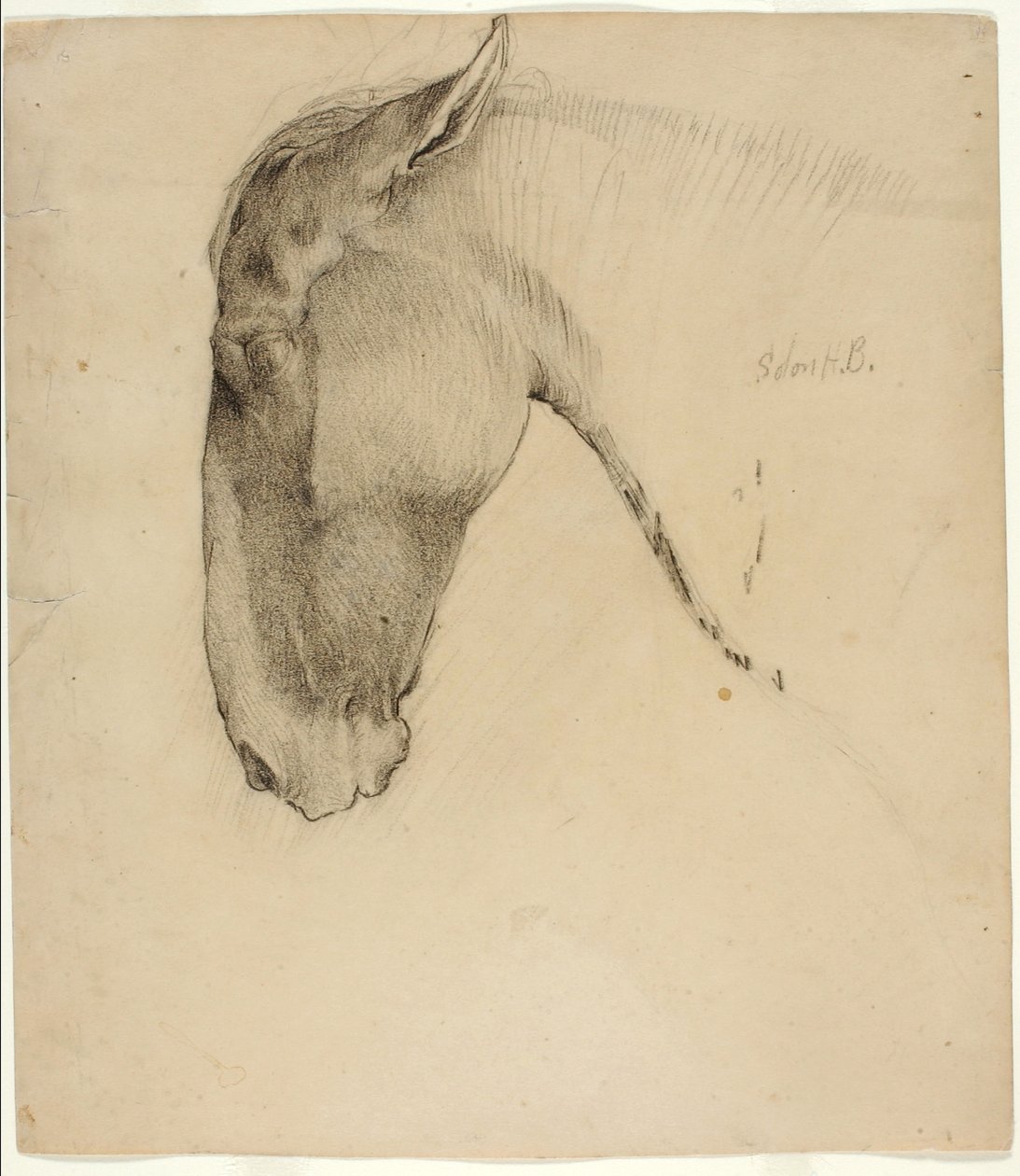 Cabeça de cavalo de Solon H. Borglum