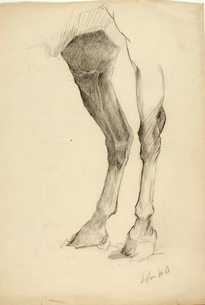 Perna de cavalo de Solon H. Borglum