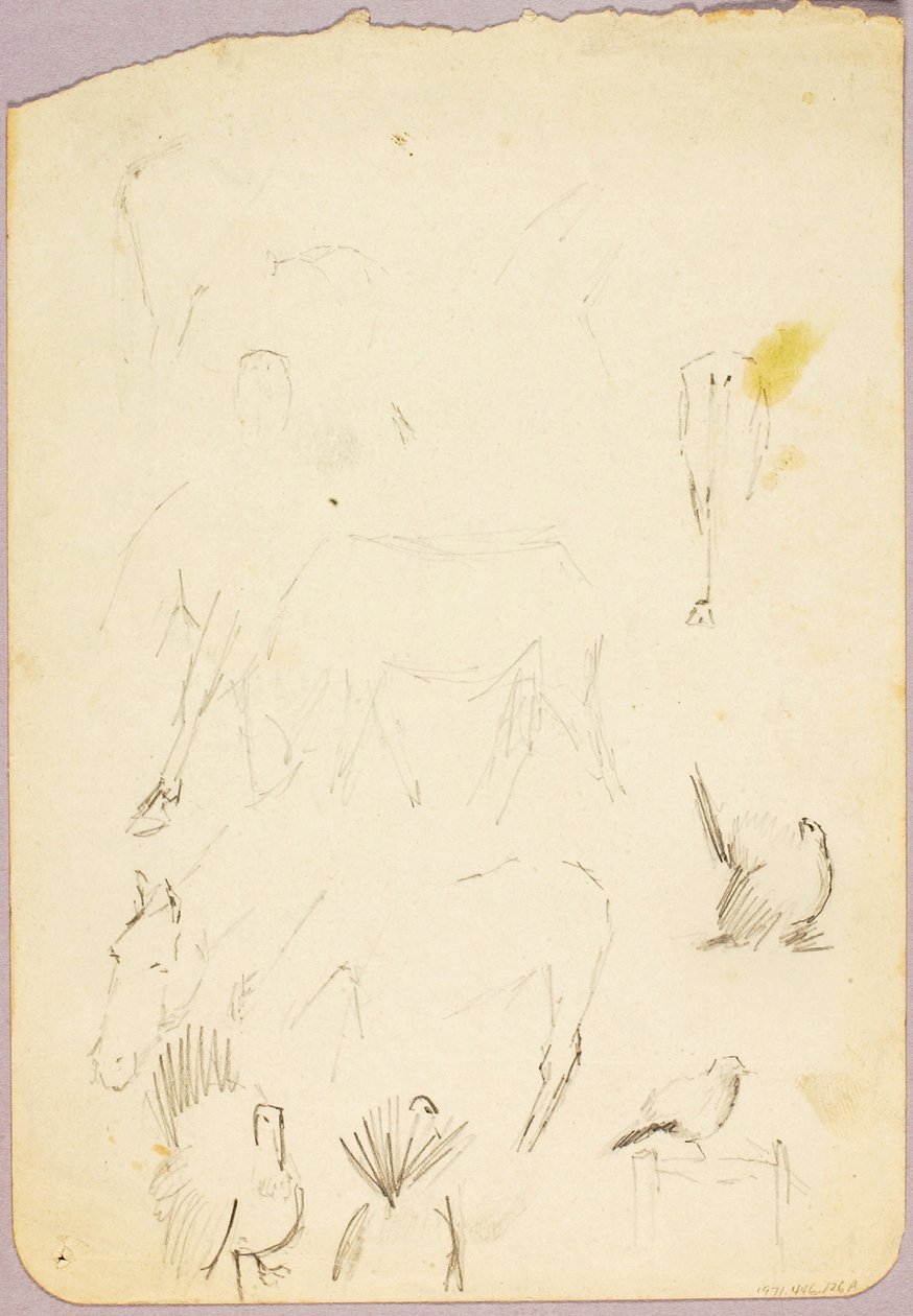 Cavalos e perus de Solon H. Borglum