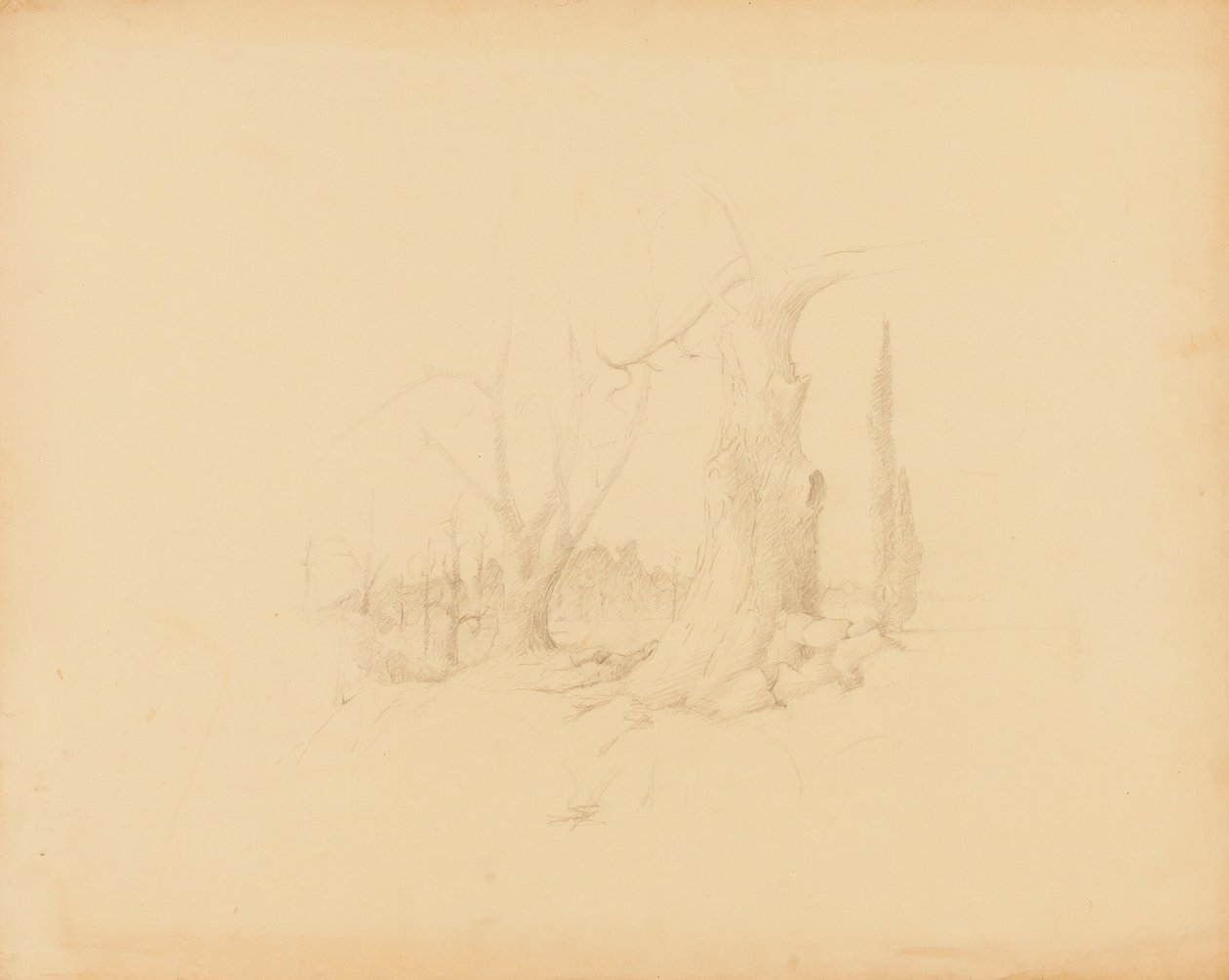 Paisagem de Solon H. Borglum