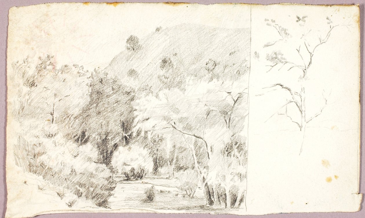 Paisagem de Solon H. Borglum