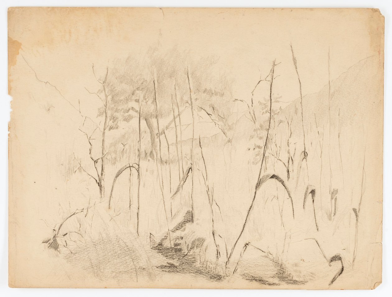 Paisagem de Solon H. Borglum