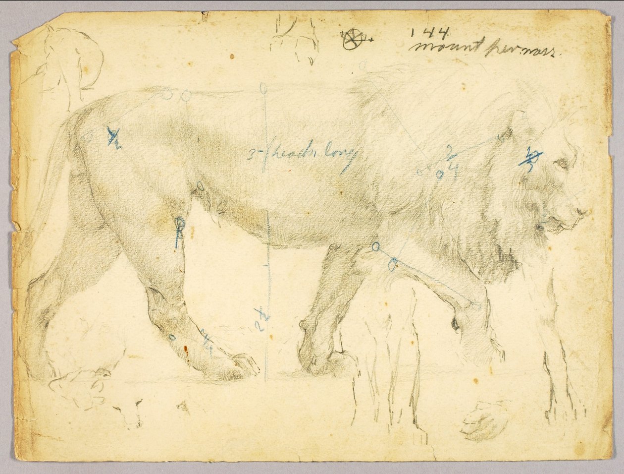 Leão de Solon H. Borglum