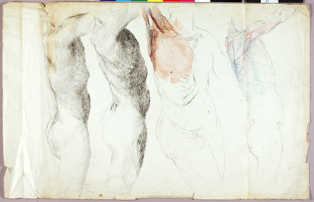 Estudos de nu de Solon H. Borglum