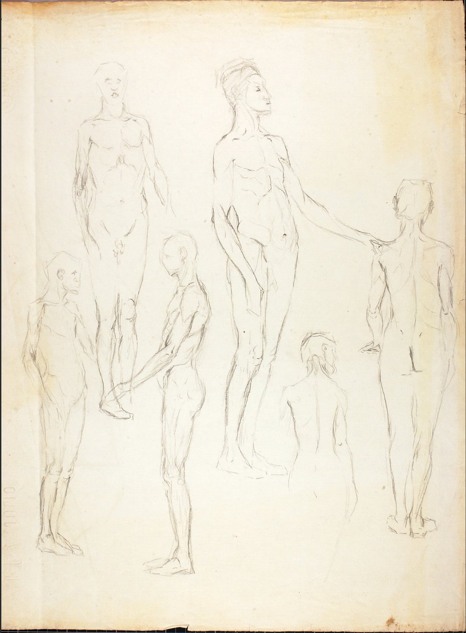 Nus de Solon H. Borglum