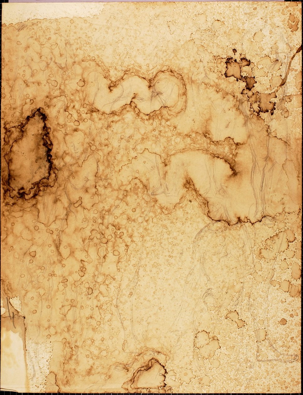Nus de Solon H. Borglum