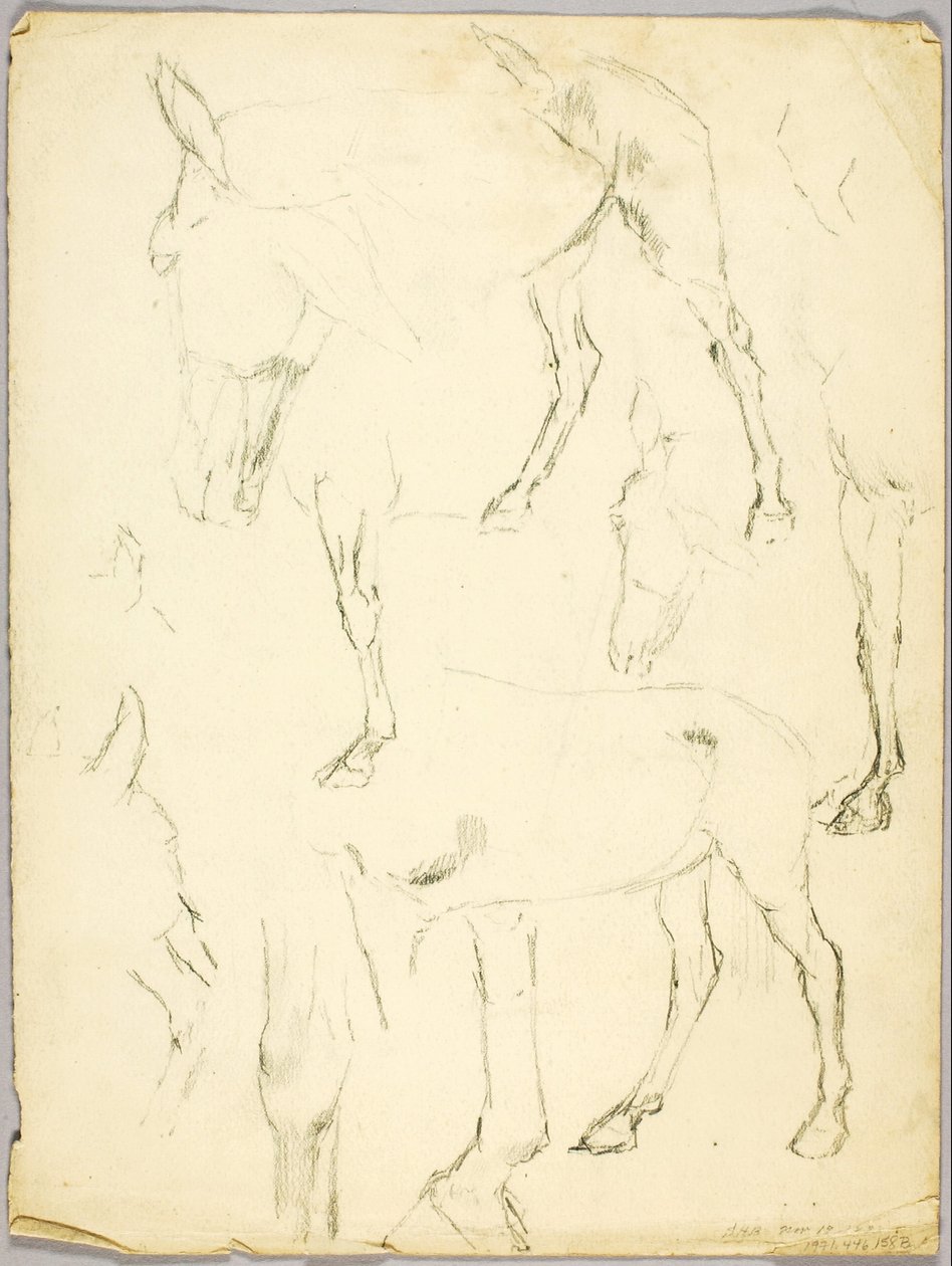 Estudo de retrato, Estudo de cavalo de Solon H. Borglum