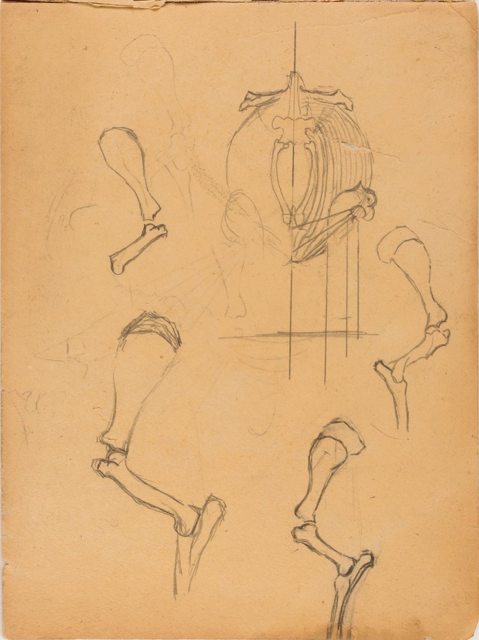 Livro de esboços de Solon H. Borglum