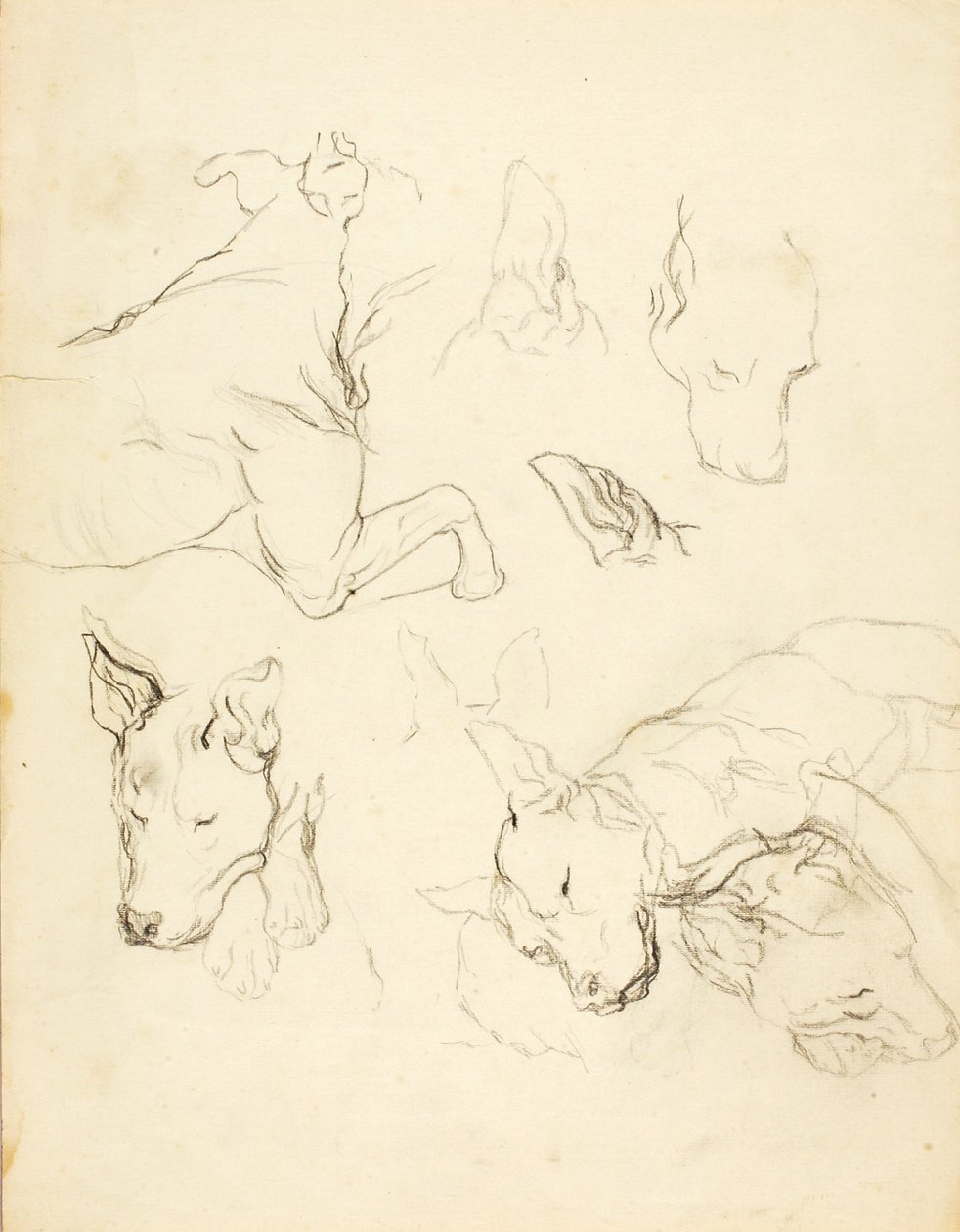 Sleeping Dogs de Solon H. Borglum