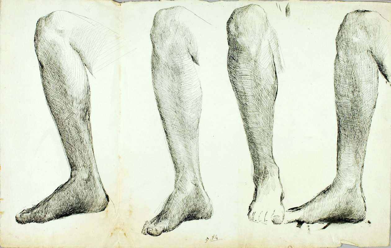 Estudo da Anatomia, #5 de Solon H. Borglum