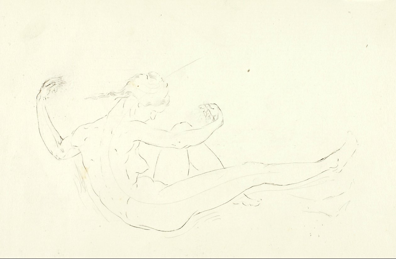 Nadar nu de Solon H. Borglum