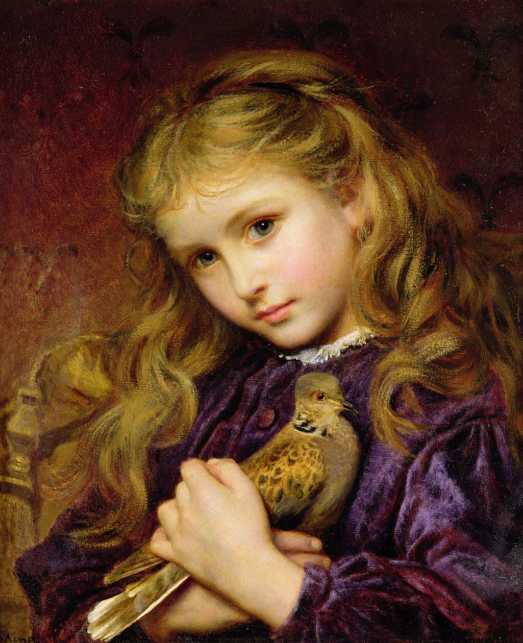 A Pomba da Tartaruga (óleo sobre tela colocado a bordo) de Sophie Gengembre Anderson