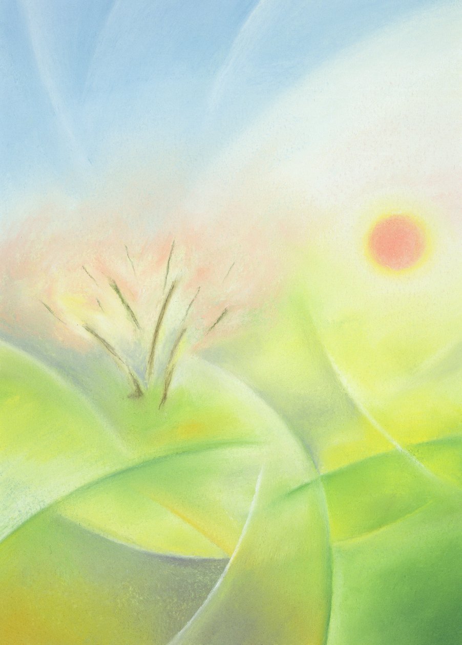 primavera de Sophie Hacker