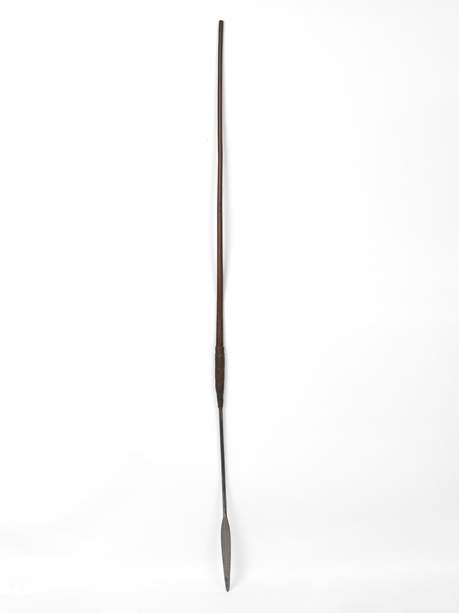 Zulu assegai ou lança de South African School