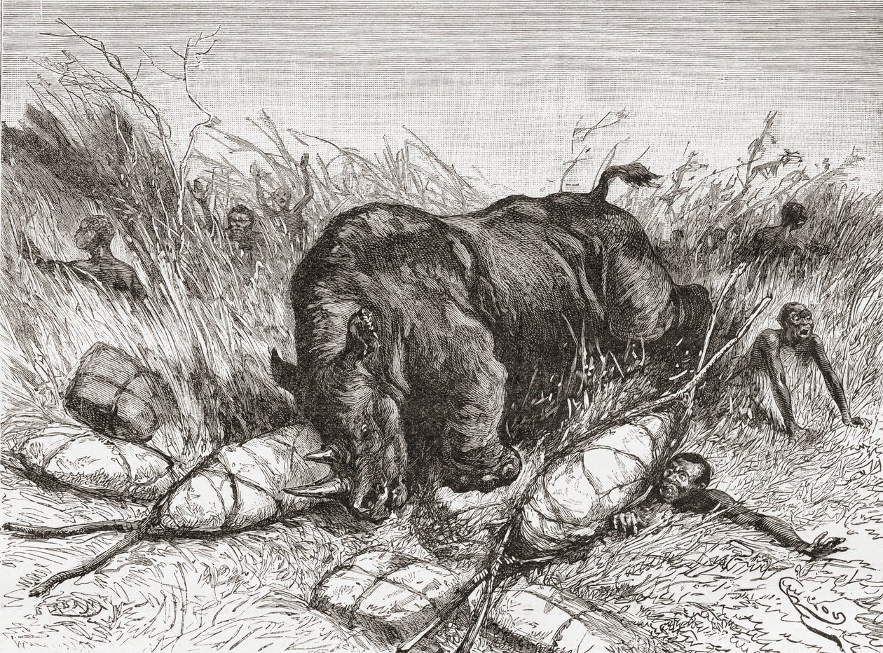 Um rinoceronte ataca uma expedição, da "África Pintoresca", publicada em 1888 de Spanish School