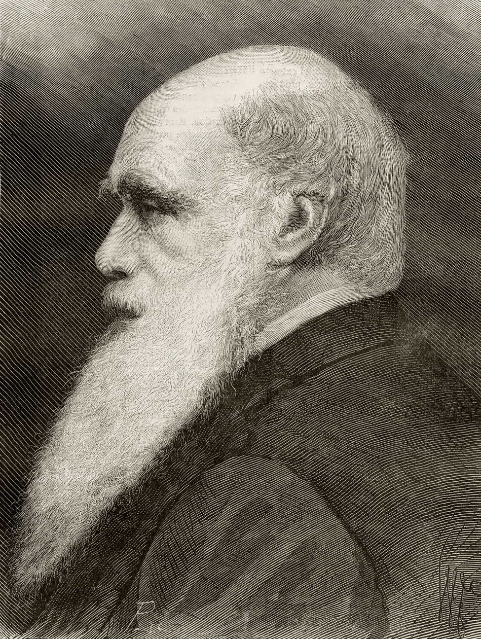 Charles Darwin, de &39;Our Century&39;, publicou Barcelona, 1883 de Spanish School
