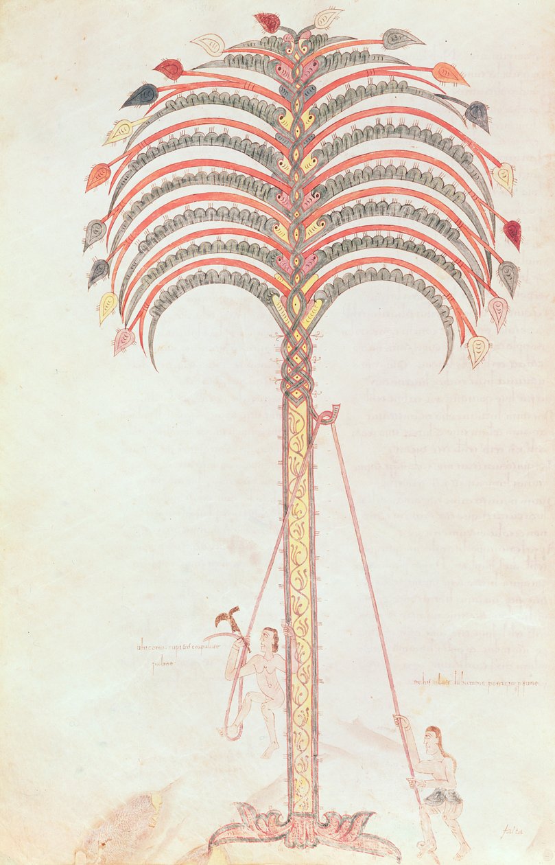 Fol.147v A metáfora da palmeira, do Girona Beatus de Spanish School
