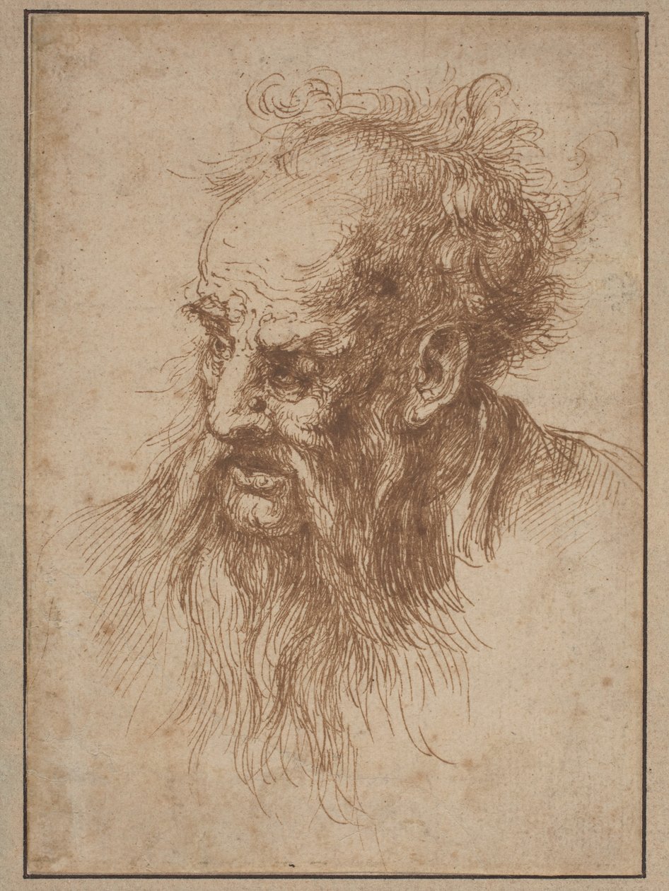 Um homem idoso com uma barba esvoaçante de Spanish 17th Century