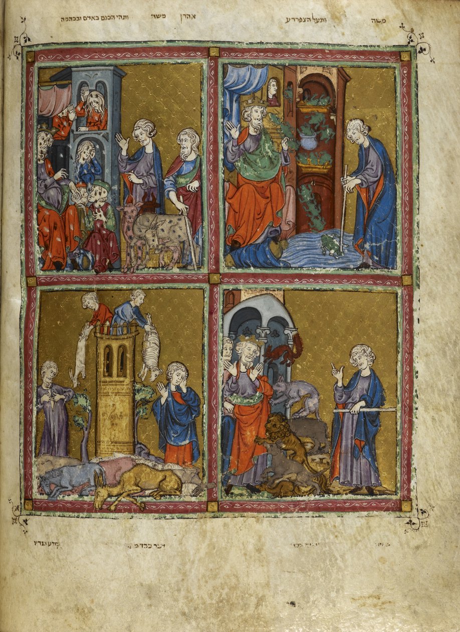 Adicionar. 27210, f.12v Cenas de Êxodo: As pragas de piolhos, sapos, murrain e pestilência, ilustrações de 