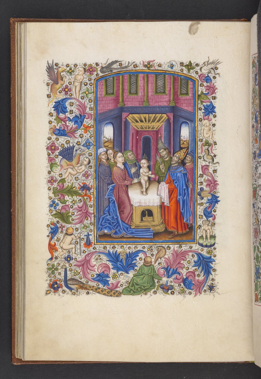 Adicionar MS 50004 f.41v A Circuncisão, de um 