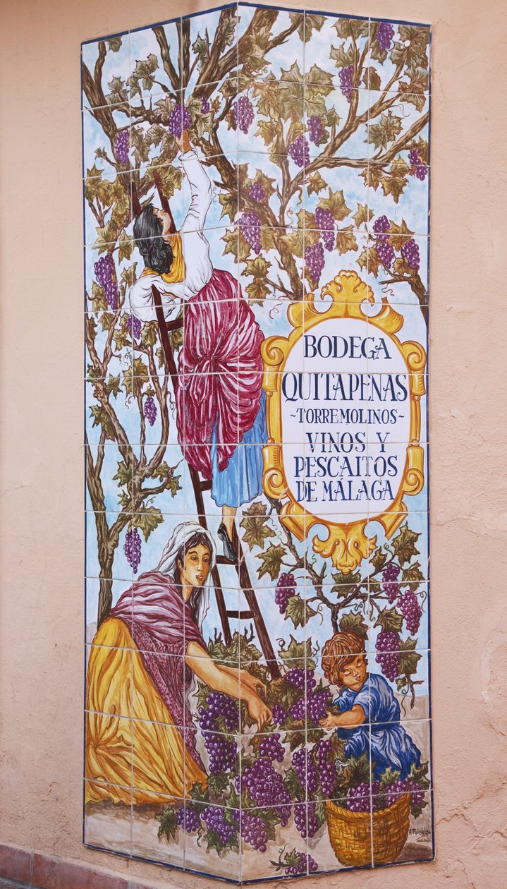Imagem de telha cerâmica de colheita de uva fora Bodega Quitapenas de Spanish School