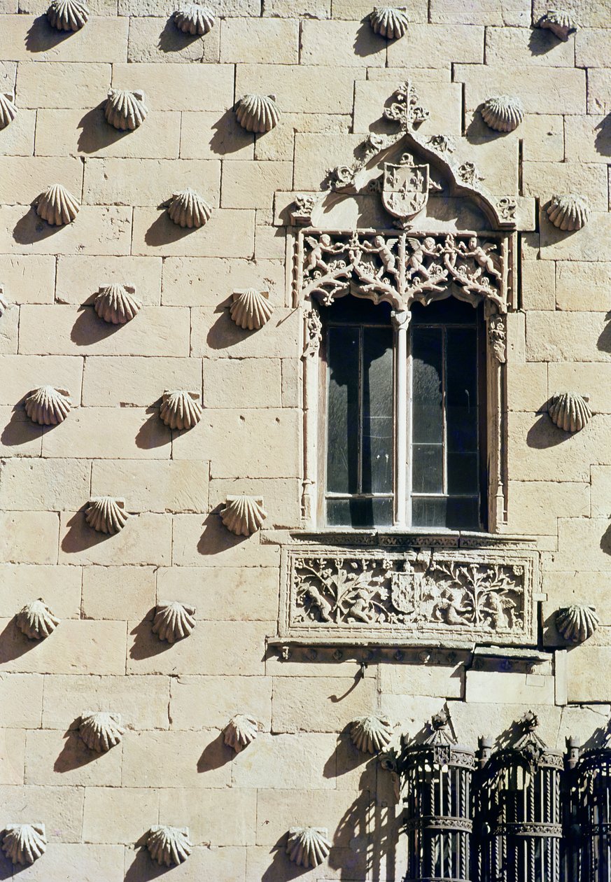 Detalhe do exterior da Casa de la Conchas (foto) de Spanish School