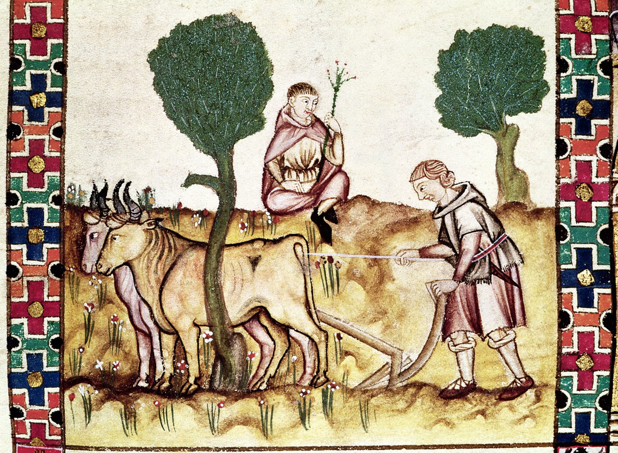 Fol.237r Um fazendeiro ensinando seu filho a arar um campo de Spanish School