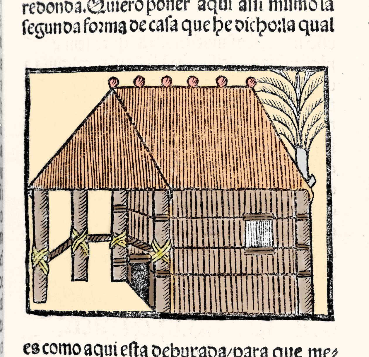 Habitat: descrição da cabana dos Índios. Gravura do livro "Historia general de las Indias, islas y tierra firme del mar oceano" de Gonzalo Fernandez de Oviedo ou Hernandez de Oviedo y Valdes (1478-1557) de Spanish School