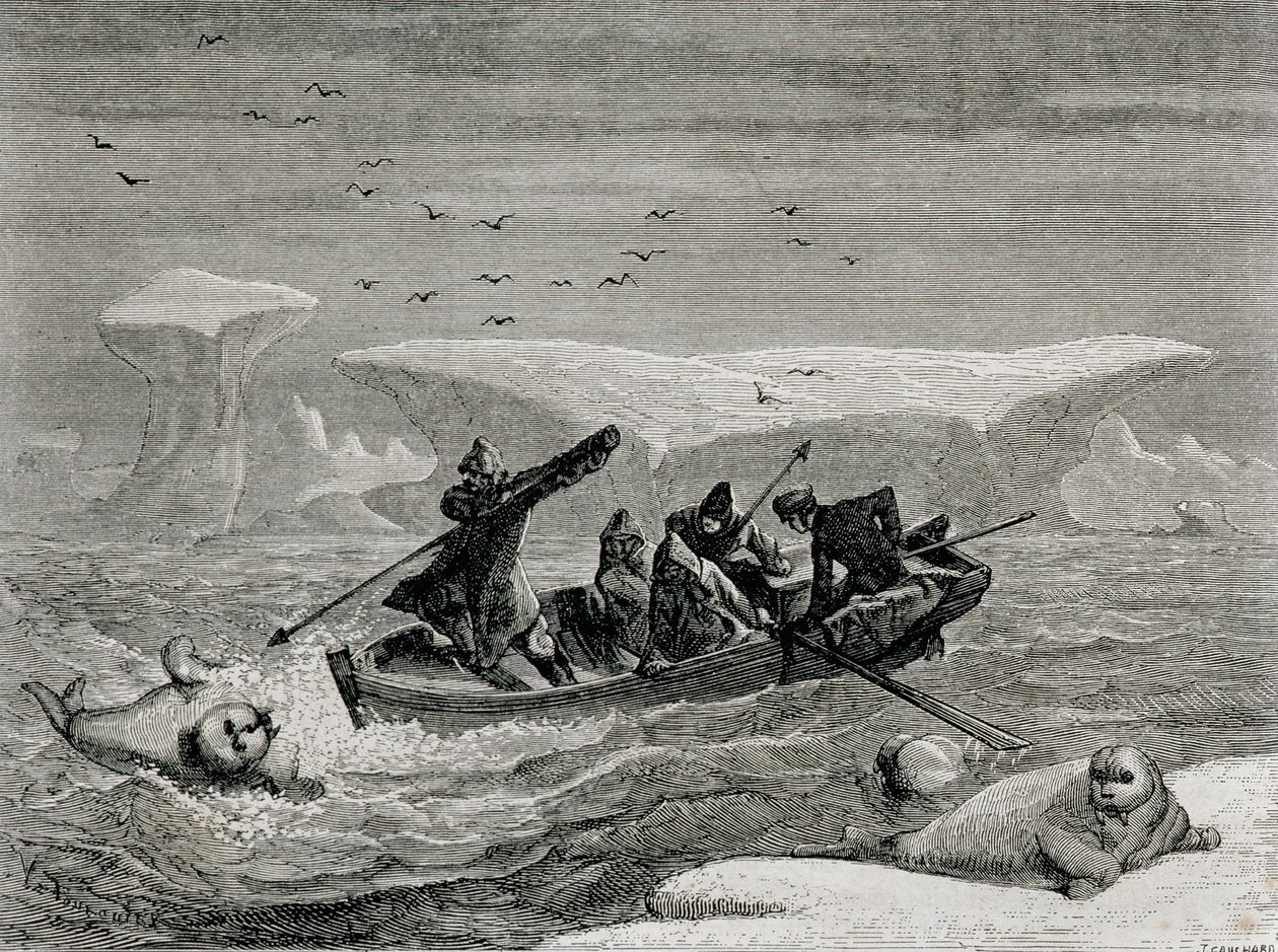 Morsa de caça com arpões nas ilhas Spitsbergen, arquipélago de Svalbard, ilustração de &39;The Return to the World&39;, 1865 de Spanish School