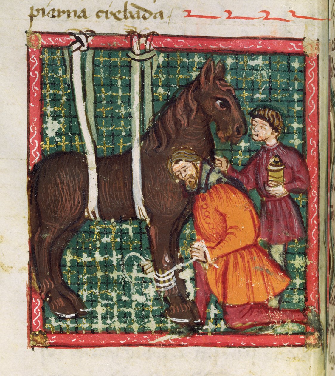 Ms 214 fol.31v Mending o metacarpo fraturado de um cavalo, de Libro de Menescalcia y Albeyteria por Juan Alvarez, c.1390 de Spanish School
