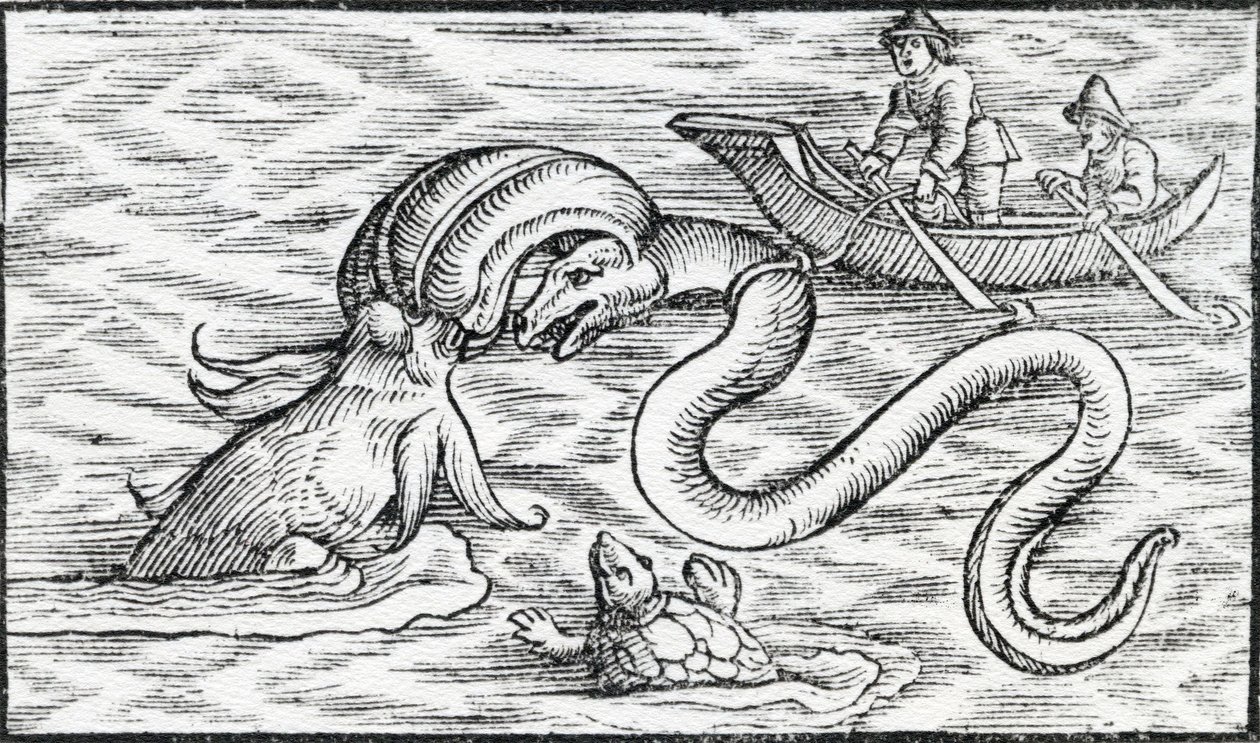 Monstros marinhos, 1511 de Spanish School