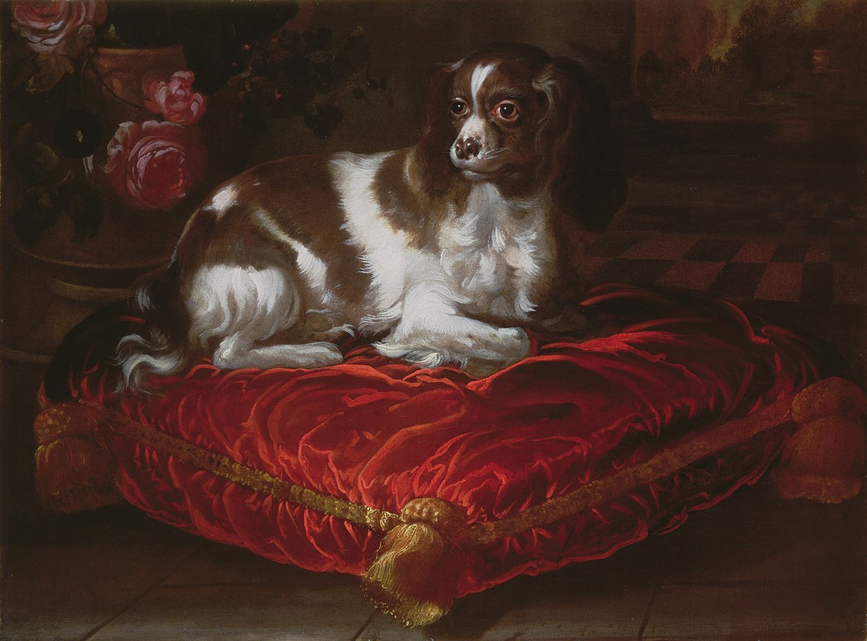 Spaniel em um coxim de Spanish School