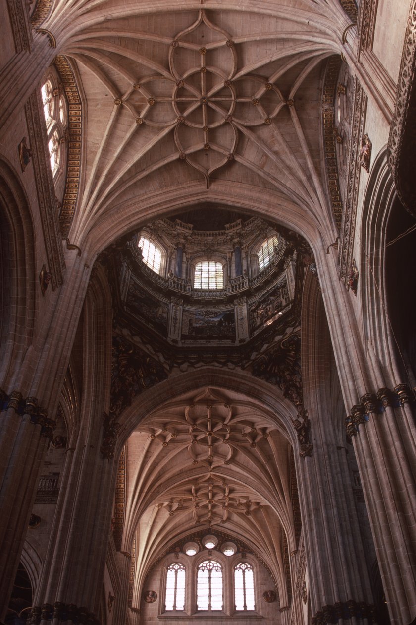 Vista, de, a, lanterna, torre, e, lierne, cofre de Spanish School