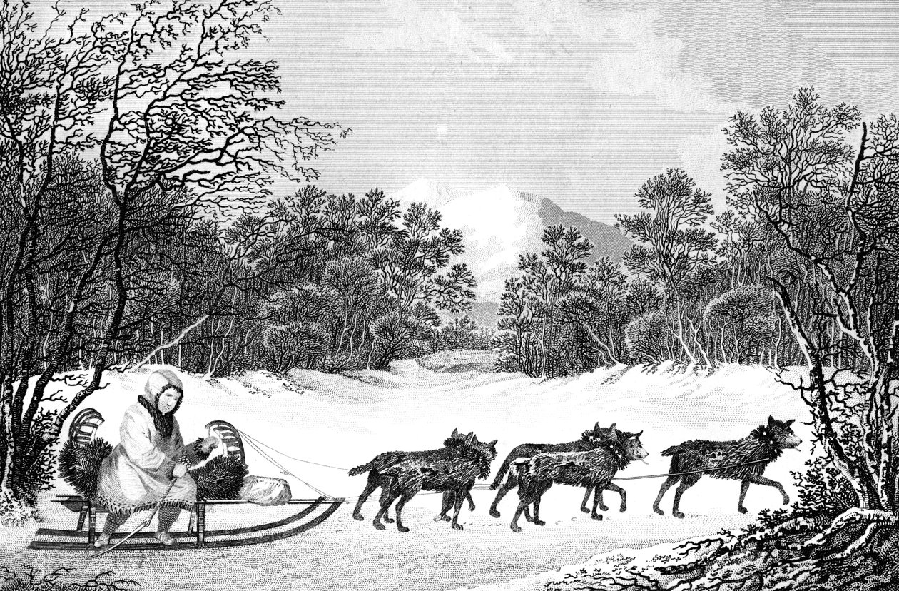 A maneira de viajar no inverno em Kamtschatka, século XIX. de Sparrow