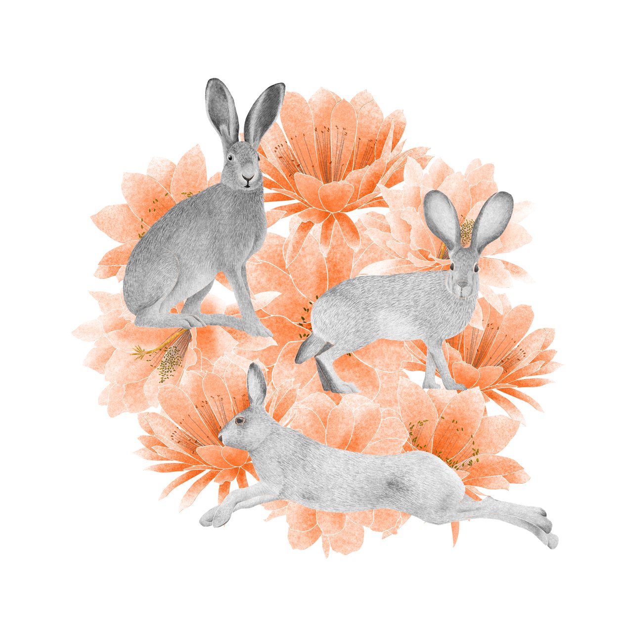 Jack Rabbits, 2021 (lápis de grafite e digital) de Stacy Hsu