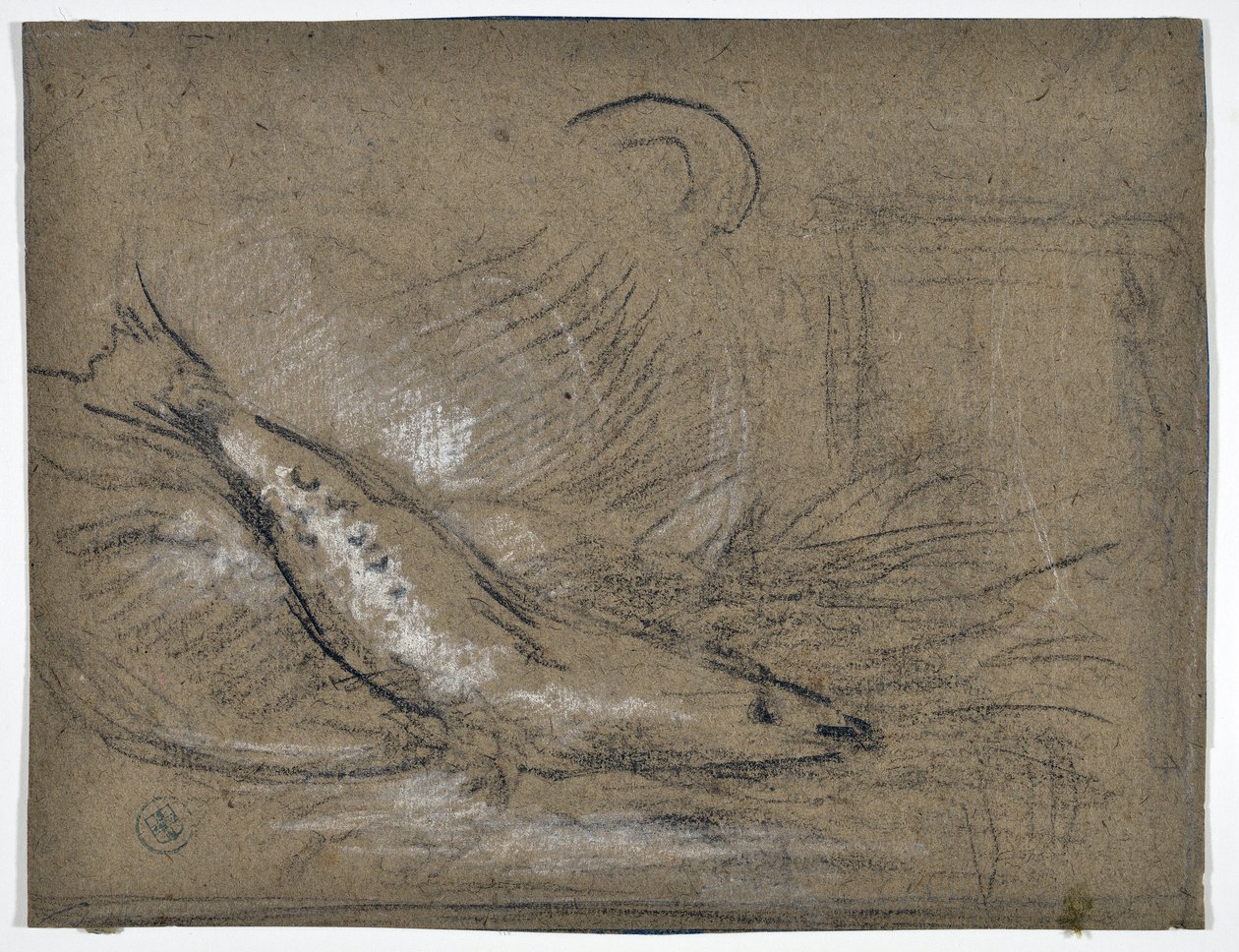Estudo do peixe (desenho) de Stanislas Torrents y de Amat
