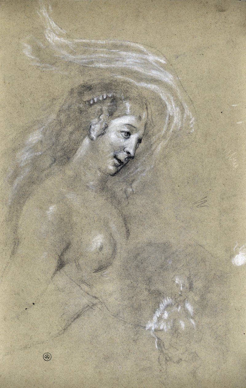 Estudo do perfil da mulher (desenho) de Stanislas Torrents y de Amat