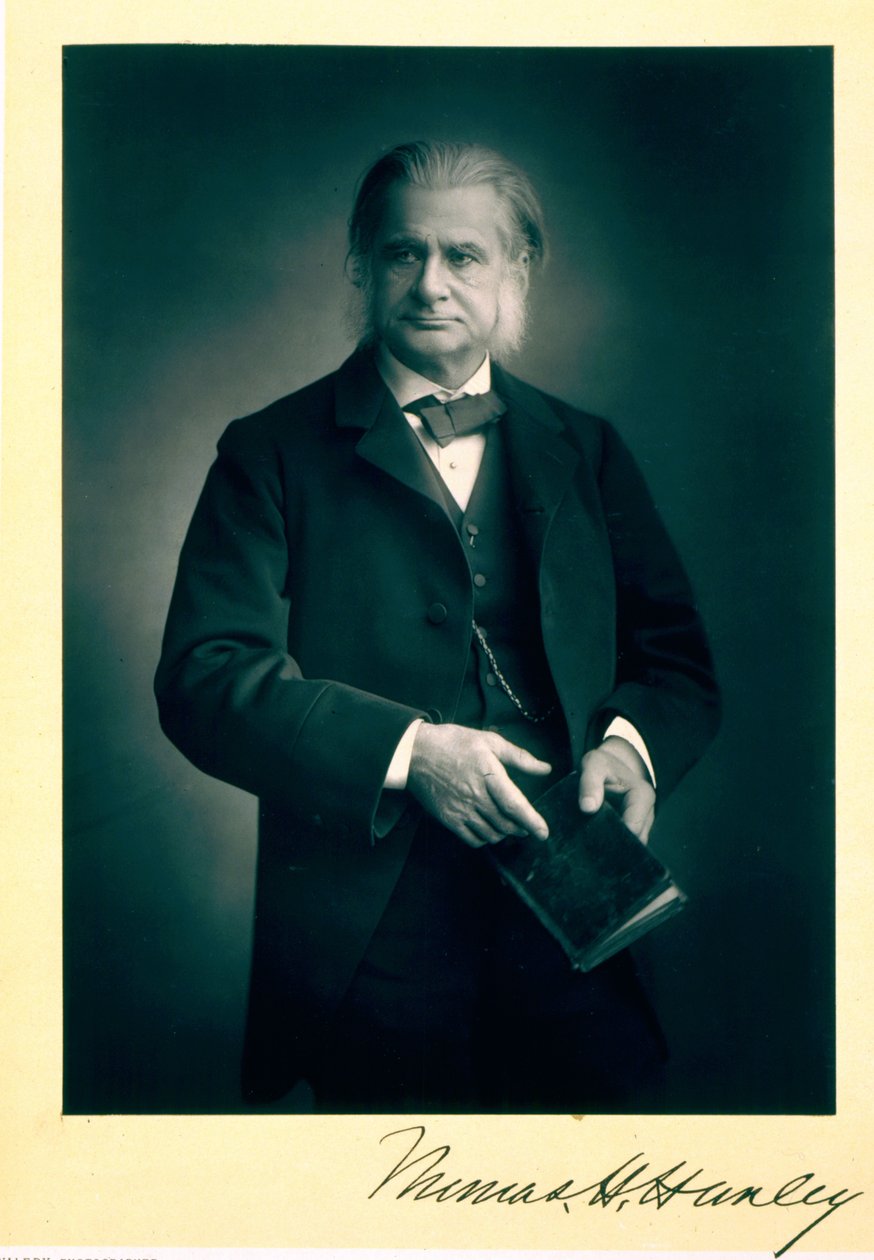 Professor Thomas H. Huxley (1825-95), biólogo, retrato fotográfico de Stanislaus Walery