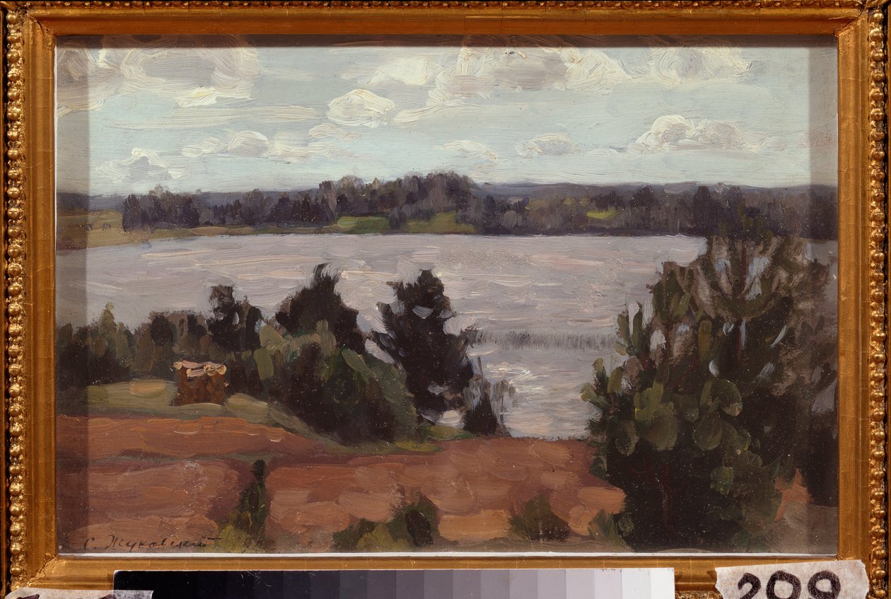Na margem do lago. Trabalho de Stanislav Yulianovich Zhukovsky (Zhukovsky) (1873-1944), óleo a bordo de Stanislav Joulianovitch Joukovski