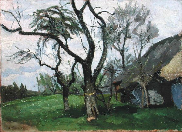Paisagem da Wola Radziszowska de Stanislaw Kamochi