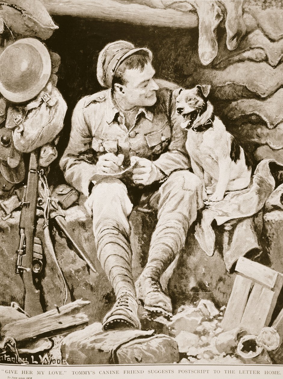 Dê-lhe meu amor, amigo canino Tommys Sugere Post Script to the Letter Home, de Guerra Ilustrada, c. 1916 de Stanley L. Wood