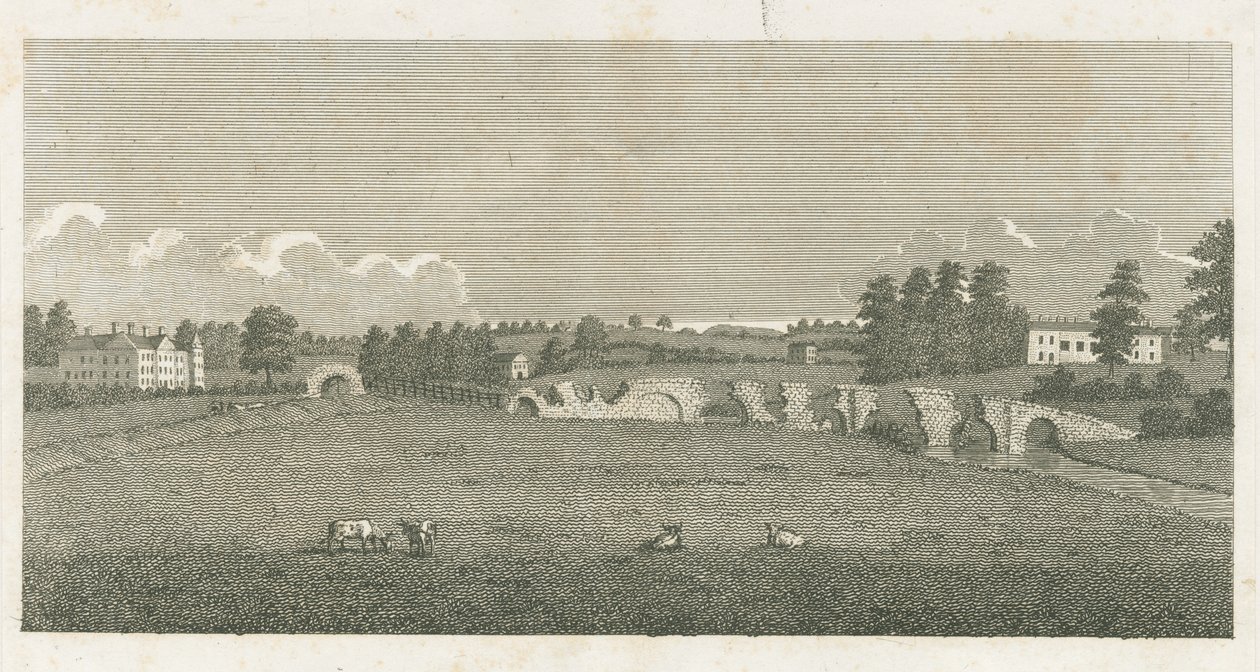 Ponte Wolseley: gravura de Stebbing Shaw