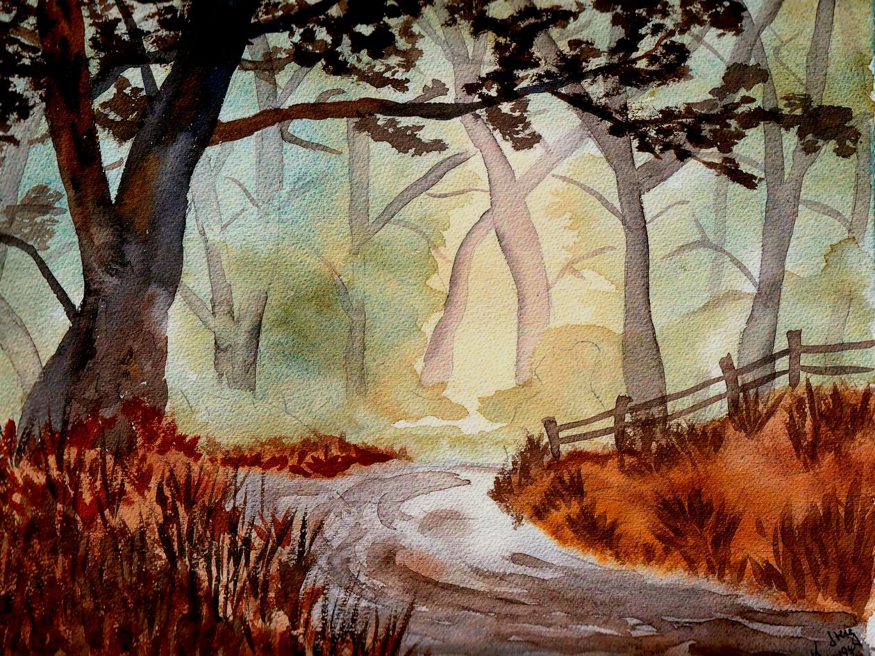 A Floresta Encantada de Steegs Art Karin