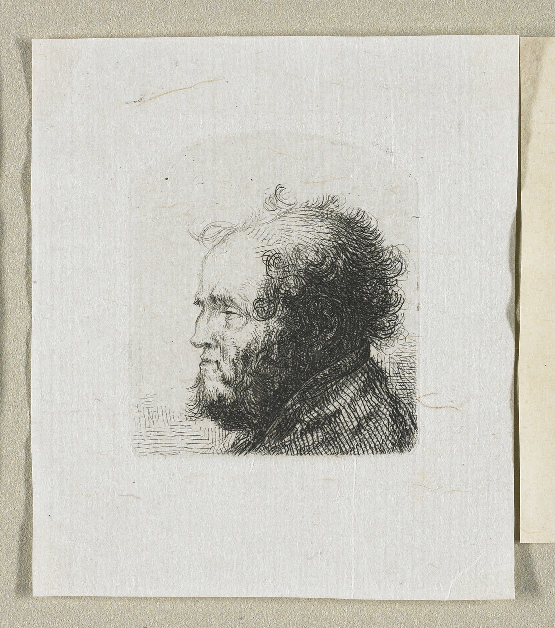 Cabeça de um barbudo de perfil à esquerda de Stefan Juliusz Norblin de la Gourdaine