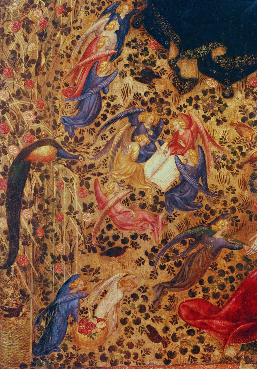 Madonna com um Rose Bush de Stefano di Giovanni da Verona